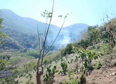 INCENDIO CONSUMIÓ POTRERO