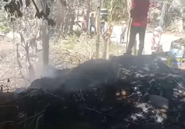 Controlan incendio en Vega Larga