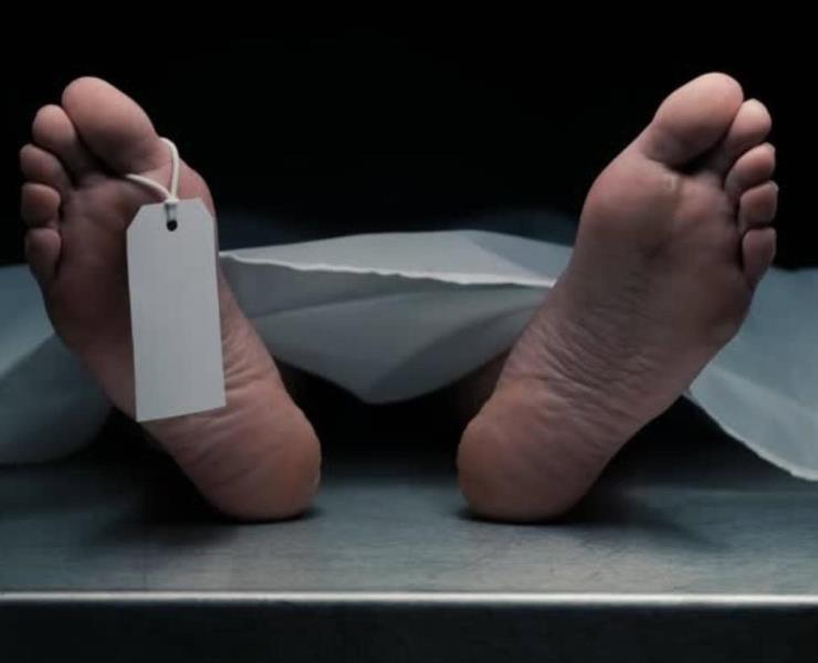 31 médicos han muerto   
