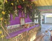 Realizaron tradicional bendición de plantas