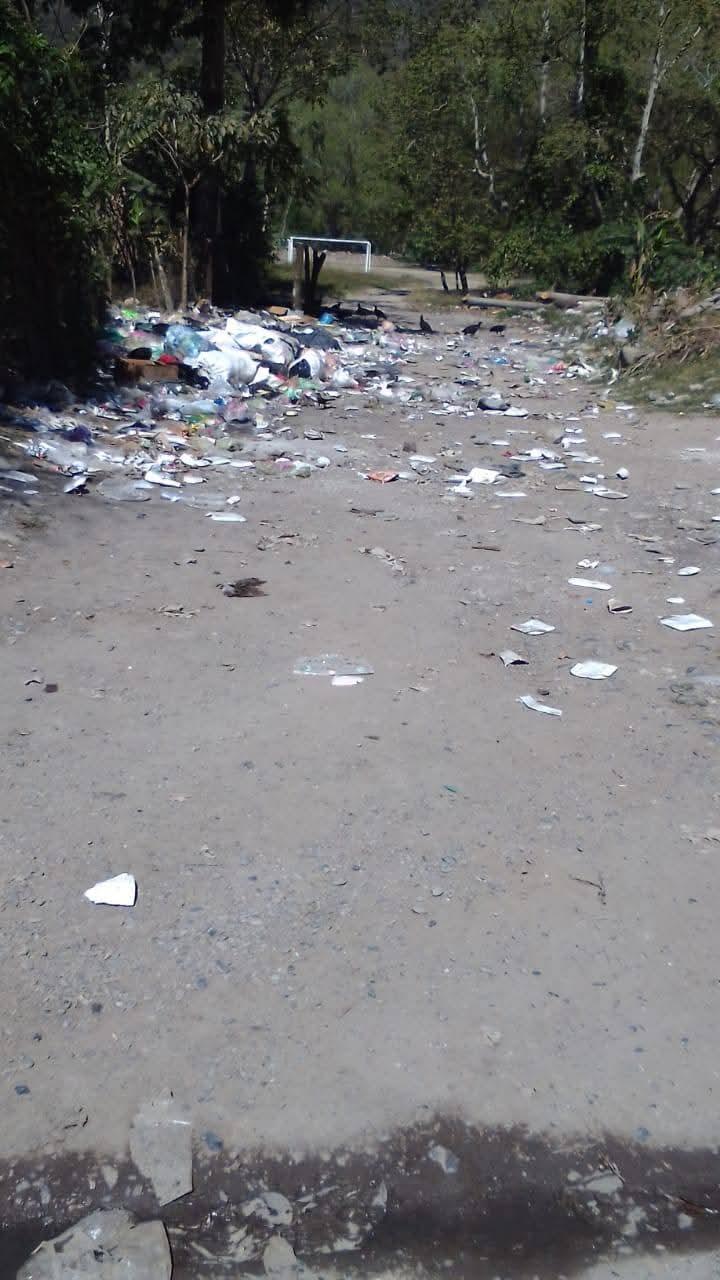 Exhortan a la población a respetar horarios y normas de recolección de basura