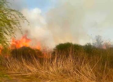 Quemas agrícolas provocan siniestros