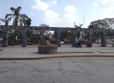 Cortaron icónico árbol del jardín municipal de Tampacán