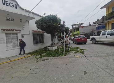 Comienza remoción  de espacios y poda