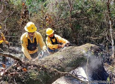 Llaman a evitar  los incendios