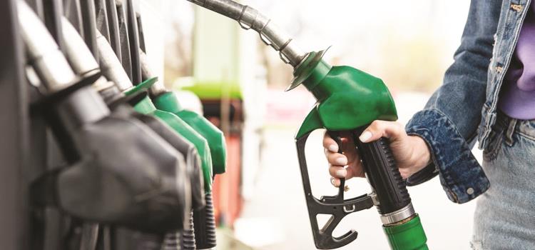 Frenaron los gasolinazos Frenaron los gasolinazos
