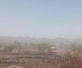 El cerro de "La Ardilla" afectado por incendios