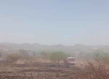 El cerro de "La Ardilla" afectado por incendios