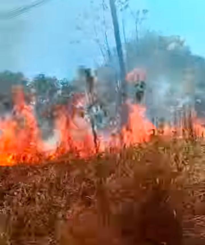 Incendios causan movilización de Bomberos en Tamazunchale