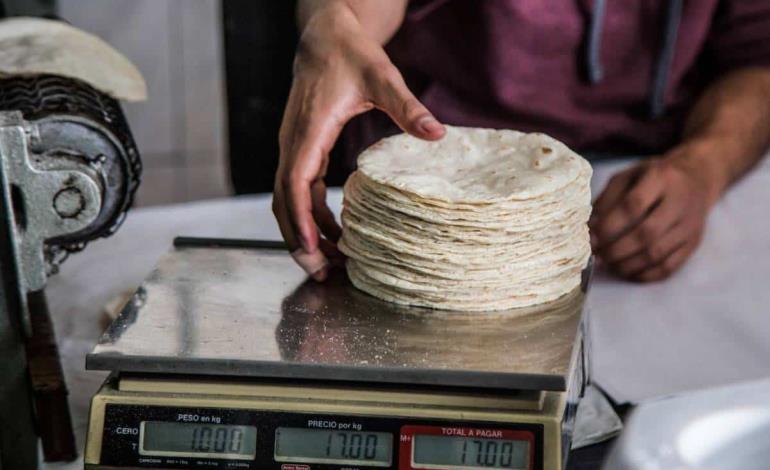 Bajará precio de la tortilla     