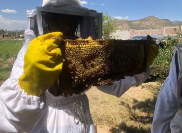 Productores de miel en crisis por intensa sequía 