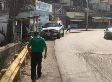 Abejas atacaron a peatones en Zacatipán