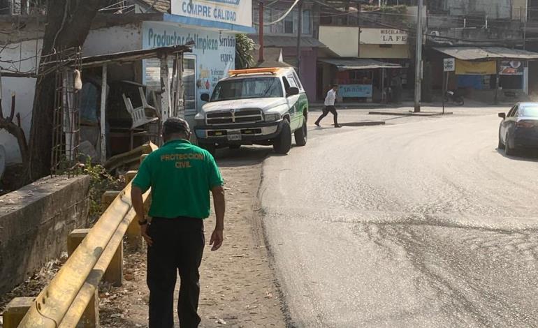 Abejas atacaron a peatones en Zacatipán