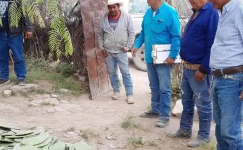 Inifab interesado en combate a plagas 
