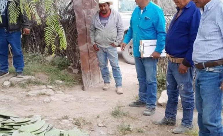 Inifab interesado en combate a plagas 