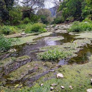 Arroyo Xochititla, un drenaje a cielo abierto
