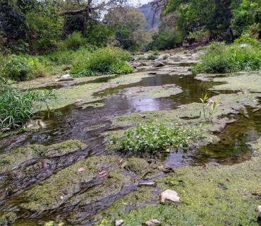 Arroyo Xochititla, un drenaje a cielo abierto