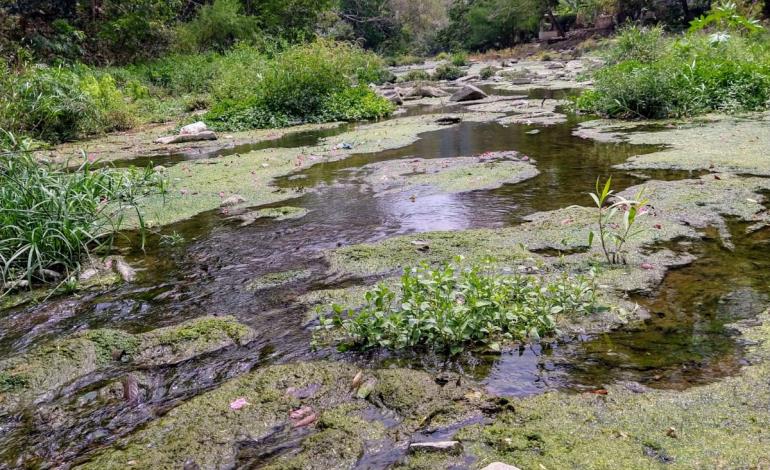 Arroyo Xochititla, un drenaje a cielo abierto