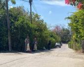 Trabajadores de Ecología mantienen limpias las calles