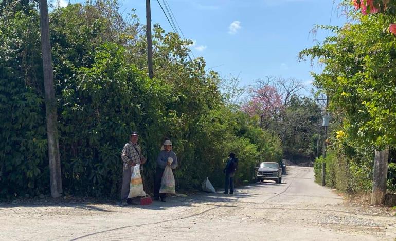 Trabajadores de Ecología mantienen limpias las calles