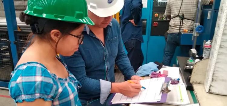 Más de 500 jóvenes a Educación Dual Más de 500 jóvenes a Educación Dual
