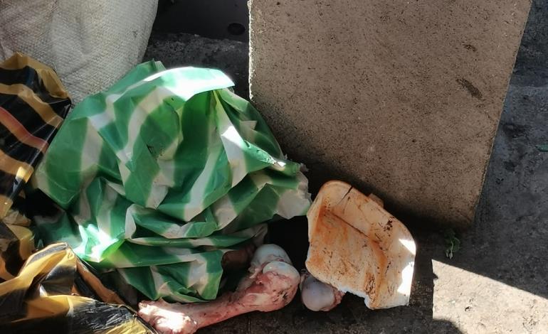 Desechos cárnicos en tiraderos de basura generan molestias