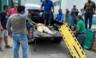 Hombre murió electrocutado 
