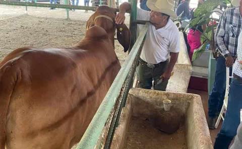 Activaron curso sobre el trasplante de embriones

