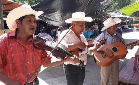 El huapango enamoro a turistas extranjeros 

