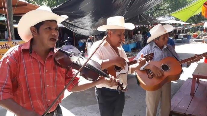El huapango enamoro a turistas extranjeros 