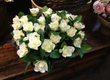 Comenzó venta de flor de gardenias 