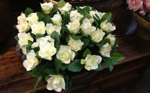 
Comenzó venta de flor de gardenias 

