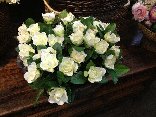 Comenzó venta de flor de gardenias 