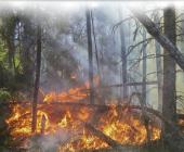 15 años de cárcel por causar incendios