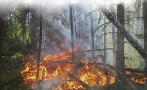 15 años de cárcel por causar incendios
