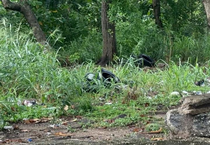 Siguen detectando basureros clandestinos