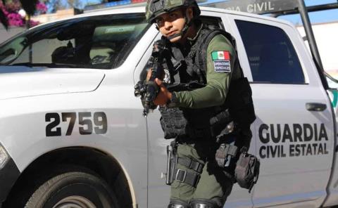 Duro combate a la delincuencia          
