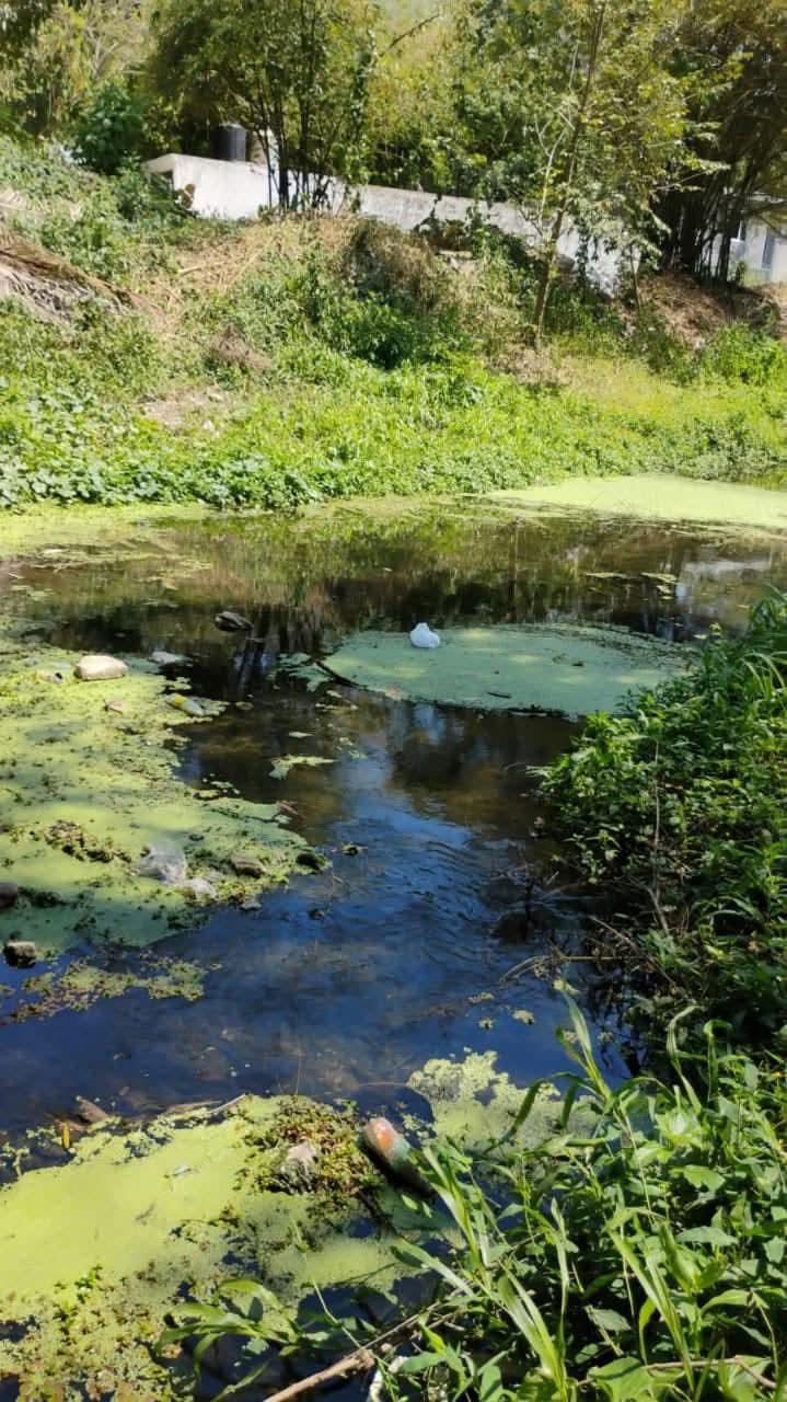 Exhortan a limpiar terrenos y baldíos para prevenir el dengue
