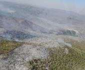Combaten incendios forestales en la zona