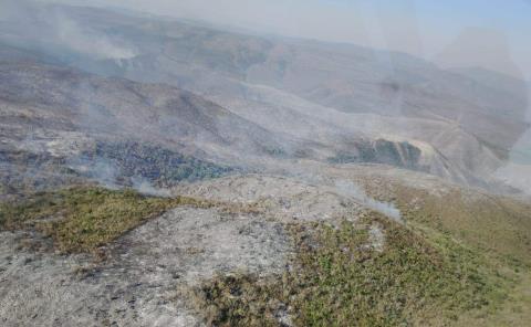 Combaten incendios forestales en la zona
