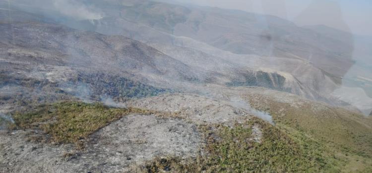 Combaten incendios forestales en la zona Combaten incendios forestales en la zona