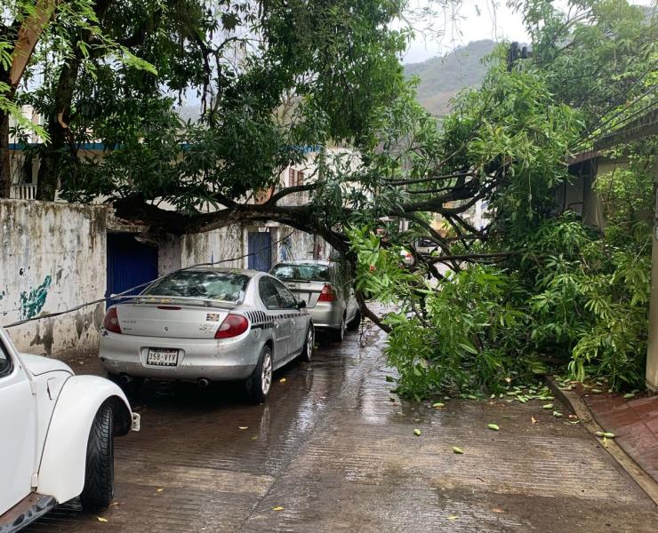 Árbol cae sobre vehículo y bloquea calle en la zona centro