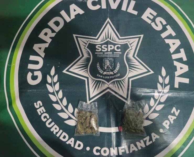 Raudo conductor traía marihuana
