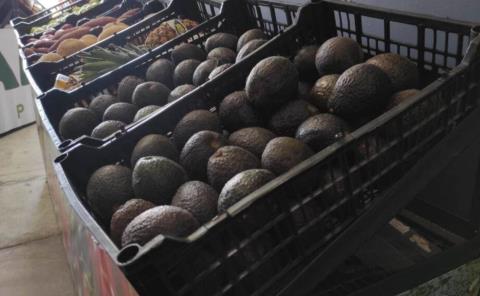 Suben precio del chile y aguacate
