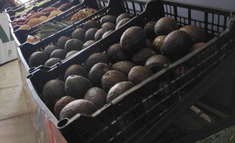 Suben precio del chile y aguacate