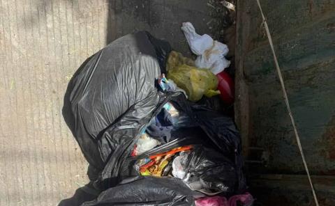 Restos de animales, una peste en contenedores