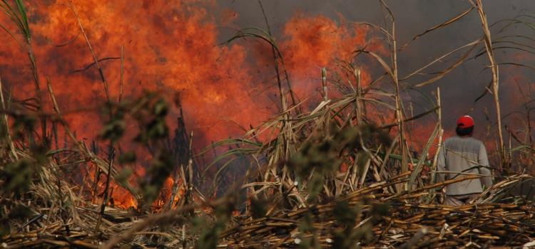 Implementan medidas para prevenir incendios Implementan medidas para prevenir incendios