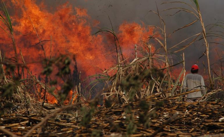 Implementan medidas para prevenir incendios 