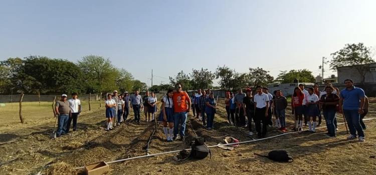 Continúan proyecto de huerto en Cobach Continúan proyecto de huerto en Cobach