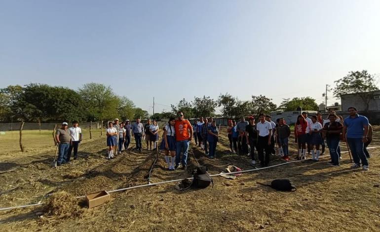 Continúan proyecto  de huerto en Cobach 